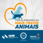 Programa castrou gratuitamente quase 11 mil cães e gatos. Foto:SEDEST