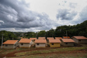 As 20 casas populares do conjunto habitacional erguido no bairro Jardim Planalto em Guaraniaçu, na região Oeste do Estado, serão entregues no começo de 2021. O empreendimento é uma parceria do Governo do Paraná, da Itaipu Binacional e da prefeitura do município e recebeu investimento de R$ 1.035.744,30. Ele se soma a projetos similares que estão em andamento em outros 15 municípios. - 02-12-2020 -  Foto: Jonathan Campos/ AEN
