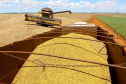 Alta de 15,7%, agropecuária reduz impacto da pandemia sobre o PIB
Safra soja 2020. Fotos:Jaelson Lucas / AEN
