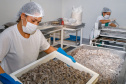 Balas, pescados e cachaça: a riqueza dos produtos do Litoral.Foto Gilson Abreu/AEN