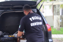 Valorização profissional e novos concursos são destaques na Segurança. Foto:SESP