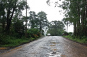 O Departamento de Estradas de Rodagem do Paraná (DER/PR) realizou nesta terça-feira (05) a abertura dos envelopes da licitação da pavimentação da PR-160 entre os municípios de Imbaú e Reserva, na região dos Campos Gerais.  -  Curitiba, 06/01/2021  -  Foto: Divulgação DER