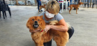 Organizações da Sociedade Civil (OSCs) e protetores independentes de animais de Foz do Iguaçu recebem, entre 11 e 21 deste mês, o Programa Permanente de Esterilização de Cães e Gatos, desenvolvido pela Secretaria de Estado do Desenvolvimento Sustentável e do Turismo.  -  Foz do Iguaçu, 08/01/2021  -  Foto: Girlene Jacob
