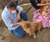 Organizações da Sociedade Civil (OSCs) e protetores independentes de animais de Foz do Iguaçu recebem, entre 11 e 21 deste mês, o Programa Permanente de Esterilização de Cães e Gatos, desenvolvido pela Secretaria de Estado do Desenvolvimento Sustentável e do Turismo.  -  Foz do Iguaçu, 08/01/2021  -  Foto: Girlene Jacob