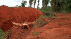 Uma fiscalização do Batalhão de Polícia Ambiental-Força Verde (BPAmb-FV) e do Instituto Água e Terra (IAT), órgão vinculado à Secretaria do Desenvolvimento Sustentável e Turismo (Sedest), flagrou a destruição de vegetação nativa no município de São José da Boa Vista, no Norte do Estado, no sábado (09). A ação resultou na prisão de nove pessoas, apreensão de seis máquinas e um total de R$ 252 mil em multas.  -  Foto: Divulgação SEDEST/IAT