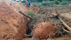 Uma fiscalização do Batalhão de Polícia Ambiental-Força Verde (BPAmb-FV) e do Instituto Água e Terra (IAT), órgão vinculado à Secretaria do Desenvolvimento Sustentável e Turismo (Sedest), flagrou a destruição de vegetação nativa no município de São José da Boa Vista, no Norte do Estado, no sábado (09). A ação resultou na prisão de nove pessoas, apreensão de seis máquinas e um total de R$ 252 mil em multas.  -  Foto: Divulgação SEDEST/IAT