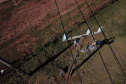 PR Trifásico concluiu 2,8 mil quilômetros de novas redes . Foto: Copel