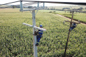 PR Trifásico concluiu 2,8 mil quilômetros de novas redes . Foto: Copel