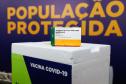 Etapa inicial de vacinação contra a Covid-19.
