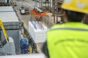 Dia do Portuário marca a essencialidade desses trabalhadores - Comemorada no dia 28 de janeiro, a data ressalta o trabalho de mais de 50 mil homens e mulheres, no Brasil, 3,1 mil no Paraná, que atuam no transporte internacional de cargas e são essenciais para economia mundial -  Foto: Claudio Neves/Portos do Paraná