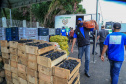 Permissionários atacadistas da Ceasa Curitiba fazem doação 25 toneladas de alimentos para entidades beneficentes de Curitiba e Região Metropolitana, além de famílias atingidas pelas chuvas em Irati, na região Centro-Sul do Estado. - Curitiba, 29/01/2021 - Foto: Veldelino Pontes