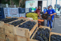 Permissionários atacadistas da Ceasa Curitiba fazem doação 25 toneladas de alimentos para entidades beneficentes de Curitiba e Região Metropolitana, além de famílias atingidas pelas chuvas em Irati, na região Centro-Sul do Estado. - Curitiba, 29/01/2021 - Foto: Veldelino Pontes