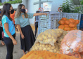 Permissionários atacadistas da Ceasa Curitiba fazem doação 25 toneladas de alimentos para entidades beneficentes de Curitiba e Região Metropolitana, além de famílias atingidas pelas chuvas em Irati, na região Centro-Sul do Estado. - Curitiba, 29/01/2021 - Foto: Veldelino Pontes