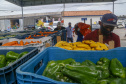 Permissionários atacadistas da Ceasa Curitiba fazem doação 25 toneladas de alimentos para entidades beneficentes de Curitiba e Região Metropolitana, além de famílias atingidas pelas chuvas em Irati, na região Centro-Sul do Estado. - Curitiba, 29/01/2021  - Foto: Gilson Abreu/AEN