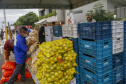 Permissionários atacadistas da Ceasa Curitiba fazem doação 25 toneladas de alimentos para entidades beneficentes de Curitiba e Região Metropolitana, além de famílias atingidas pelas chuvas em Irati, na região Centro-Sul do Estado. - Curitiba, 29/01/2021  - Foto: Gilson Abreu/AEN