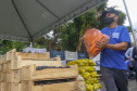 Permissionários atacadistas da Ceasa Curitiba fazem doação 25 toneladas de alimentos para entidades beneficentes de Curitiba e Região Metropolitana, além de famílias atingidas pelas chuvas em Irati, na região Centro-Sul do Estado. - Curitiba, 29/01/2021  - Foto: Gilson Abreu/AEN