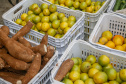 Permissionários atacadistas da Ceasa Curitiba fazem doação 25 toneladas de alimentos para entidades beneficentes de Curitiba e Região Metropolitana, além de famílias atingidas pelas chuvas em Irati, na região Centro-Sul do Estado. - Curitiba, 29/01/2021  - Foto: Gilson Abreu/AEN
