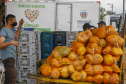 Permissionários atacadistas da Ceasa Curitiba fazem doação 25 toneladas de alimentos para entidades beneficentes de Curitiba e Região Metropolitana, além de famílias atingidas pelas chuvas em Irati, na região Centro-Sul do Estado. - Curitiba, 29/01/2021  - Foto: Gilson Abreu/AEN