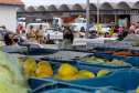 Permissionários atacadistas da Ceasa Curitiba fazem doação 25 toneladas de alimentos para entidades beneficentes de Curitiba e Região Metropolitana, além de famílias atingidas pelas chuvas em Irati, na região Centro-Sul do Estado. - Curitiba, 29/01/2021  - Foto: Gilson Abreu/AEN