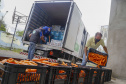 Vítimas da chuva recebem 25 toneladas de alimentos do Ceasa Paraná . IRATI.

Foto: Gilson Abreu/AEN