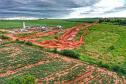 Estrada da Boiadeira. Alessandro Vieira/AEN