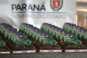 Chegada da 27ª edição do Rallye Transparaná, no Palácio Iguaçu, em Curitiba - Curitiba, 20/02/2021 - Foto: Alessandro Vieira/AEN