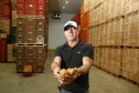 02/03 - produção e processo da batata. Na foto, o produtor rural e empresário Osmar Kloster de Oliveira  -  Foto: Gilson Abreu/AEN