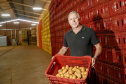02/03 - produção e processo da batata. Na foto, o produtor rural e empresário Osmar Kloster de Oliveira  -  Foto: Gilson Abreu/AEN