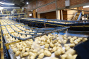02/03 - produção e processo da batata.Foto: Gilson Abreu/AEN
