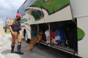 Os cães da Polícia Militar têm sido importantes aliados no processo de apreensão de drogas. Durante a Operação Verão Consciente, os cães Hórus e Argos foram destaque no auxílio aos policiais na apreensão de entorpecentes. - Foto: Divulgação PMPR