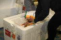 O Paraná recebe mais 148,6 mil doses do imunizante CoronaVac para continuar a vacinação contra a Covid-19 no estado. O lote enviado pelo Ministério da Saúde chegou no início da noite no Centro de Medicamentos do Paraná (Cemepar), em Curitiba.09/03/2021. Foto: Geraldo Bubniak/AEN