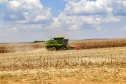 O setor agropecuário foi um dos únicos com crescimento no ano passado, com previsão de que continue em alta em 2021. No entanto, as condições climáticas podem reduzir a produção, sobretudo de milho, colocando em risco o abastecimento desse cereal e a cadeia produtiva que dele depende. Foto: Gilson Abreu/AEN