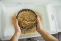 Pesquisadores da Universidade Tecnológica Federal do Paraná desenvolveram um material produzido a partir do crescimento de fungos em resíduos da agroindústria que pode substituir plásticos, poliestireno expandido e outros materiais danosos ao meio ambiente utilizados na indústria de embalagens e na construção civil. Foto: Fundação Araucária