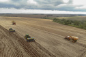 Principal produto do agro paranaense e brasileiro, o cultivo da soja ocupa mais de um quarto de todo o território do Estado e está espalhado por todas as regiões.  -  Foto: Gilson Abreu/AEN
