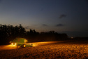 Principal produto do agro paranaense e brasileiro, o cultivo da soja ocupa mais de um quarto de todo o território do Estado e está espalhado por todas as regiões.  -  Foto: Gilson Abreu/AEN