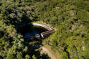 Os Mananciais da Serra, em Piraquara, são uma espécie de santuário de libélulas. Preservada pela Sanepar, essa área de Mata Atlântica abriga 113 espécies desse inseto. Os Mananciais são protegidos desde 1904, quando começaram as obras para o primeiro sistema de captação de água para Curitiba. -  16/03/2021  -  Foto: Divulgação Sanepar