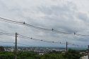 Copel investe R$88 milhões no sistema elétrico de Maringá e região. Na foto, Subestação Ingá - Alimentadores   -  Curitiba, 17/03/3021  -  Foto: Divulgação Copel
