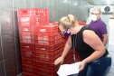 O Governo do Estado começa a distribuição da uma nova remessa de vacinas contra o coronavírus nesta quinta-feira (18). - Foto: Américo Antonio/SESA