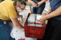 O Governo do Estado receu neste sábado (20),  mais 240.450 doses de vacinas contra o coronavírus. São 234.200 doses da Coronavac, produzida pela Sinovac e Instituto Butantan, e 6.250 do imunizante desenvolvido pela Universidade de Oxford/AstraZeneca, parte do primeiro lote fabricado pela Fundação Oswaldo Cruz (Fiocruz).  -  Curitiba, 20/03/2021  -  Foto: Ari Dias/AEN