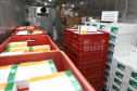 O Governo do Estado receu neste sábado (20),  mais 240.450 doses de vacinas contra o coronavírus. São 234.200 doses da Coronavac, produzida pela Sinovac e Instituto Butantan, e 6.250 do imunizante desenvolvido pela Universidade de Oxford/AstraZeneca, parte do primeiro lote fabricado pela Fundação Oswaldo Cruz (Fiocruz).  -  Curitiba, 20/03/2021  -  Foto: Ari Dias/AEN