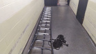 Agentes penitenciários do Grupo de Segurança Interna (GSI), com apoio da Polícia Militar, encaminharam na madrugada deste domingo (21) um homem à Delegacia após ele tentar invadir a Penitenciária Estadual de Cruzeiro do Oeste, na região Noroeste do Estado.  - Foto: Divulgação DEPEN-PR
