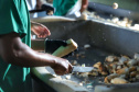 Paraná poderá produzir 42 milhões de toneladas de grãos
Foto: Jose Fernando Ogura/AEN