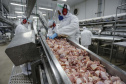 Com crescimento de 3,9%, Paraná produz um terço da carne de frango do Brasil .Foto : Jonathan Campos / AEN