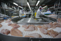 Com crescimento de 3,9%, Paraná produz um terço da carne de frango do Brasil .Foto : Jonathan Campos / AEN