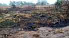 Em 2020, Polícia Ambiental atende mais de 15 mil ocorrências e faz 1,5 mil encaminhamentos no Paraná  -  Curitiba, 29/03/2021  -  Foto: Divulgação SESP-PR