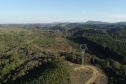 A Copel colocou em operação neste domingo (28) a nova linha de transmissão de energia que conecta as subestações Curitiba Leste (PR) e Blumenau (SC).  -  Foto"Divulgação Copel