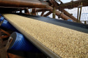 O volume de soja exportado pelo Corredor de Exportação Leste do Porto de Paranaguá (Corex) aumentou quase 232% de fevereiro para março. Este ano, no primeiro trimestre, pelo complexo que integra os silos públicos e nove terminais privados, foram exportadas 2.166.837 toneladas do granel. -  Paranaguá, 06/04/2021  -  Foto: C;audio Neves/Portos do Paraná
