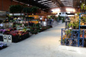 A Ceasa Curitiba está intensificando os cuidados na circulação em seu mercado atacadista tanto de hortigranjeiros, como para a comercialização de flores e plantas ornamentais. - Curitiba, 16/04/2021  -  Foto: CEASA/PR