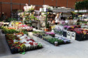 A Ceasa Curitiba está intensificando os cuidados na circulação em seu mercado atacadista tanto de hortigranjeiros, como para a comercialização de flores e plantas ornamentais. - Curitiba, 16/04/2021  -  Foto: CEASA/PR