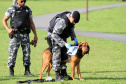 A eficácia dos serviços executados pela Companhia de Operações com Cães (COC) do Batalhão de Operações Especiais (BOPE) da Polícia Militar do Paraná (PMPR) elevou os números de apreensões de drogas e armas de fogos nos últimos 16 meses